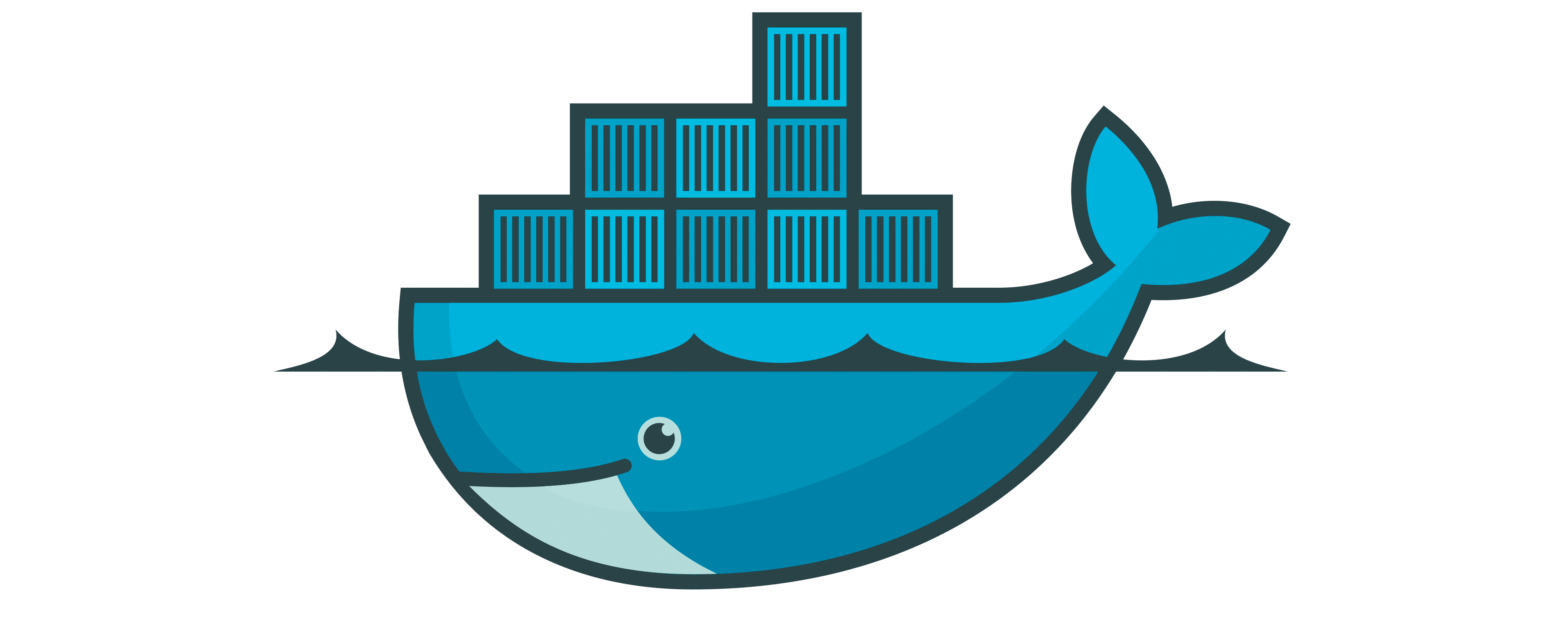 دليل تقني شامل لإدارة الحاويات والبنية المعزولة Docker